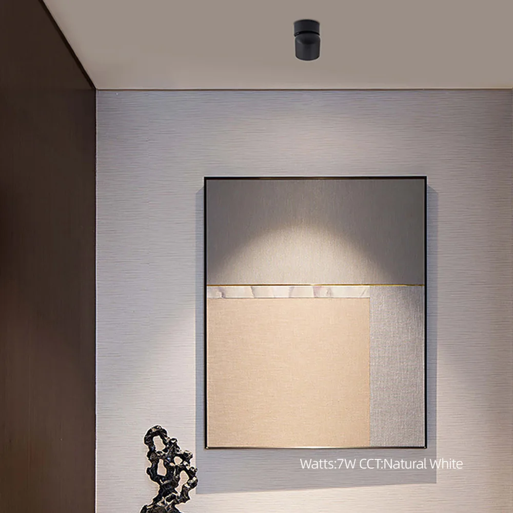 Adjustable LED Ceiling Spotlight — product detail 17