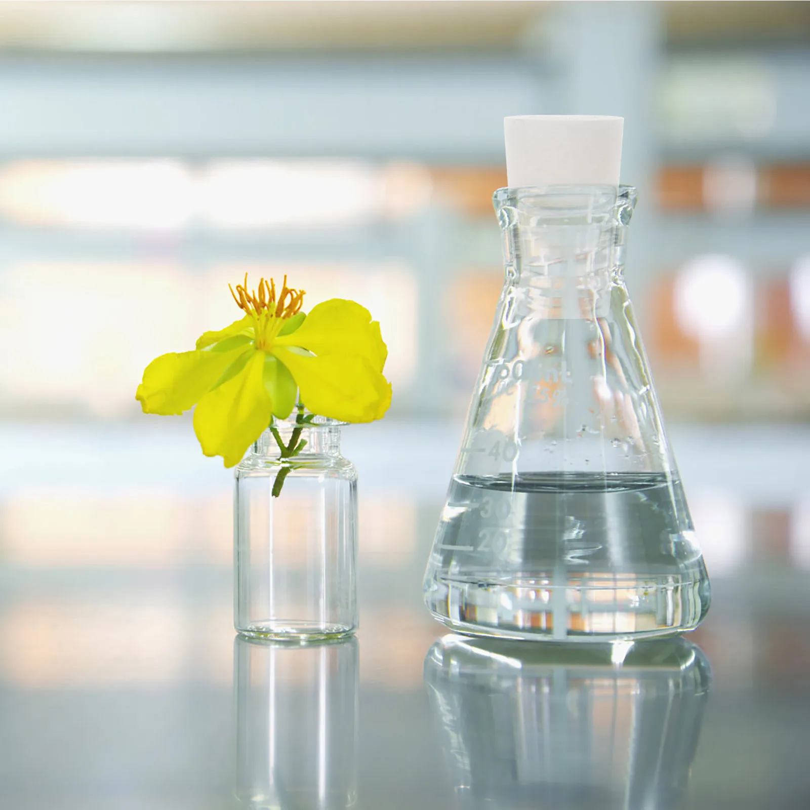 

10Pcs Test Tube Bungs Silicone Sealing Plugs Easy Insert Remove for Lab Research Tube Stoppers Silicone Stopper with Hole