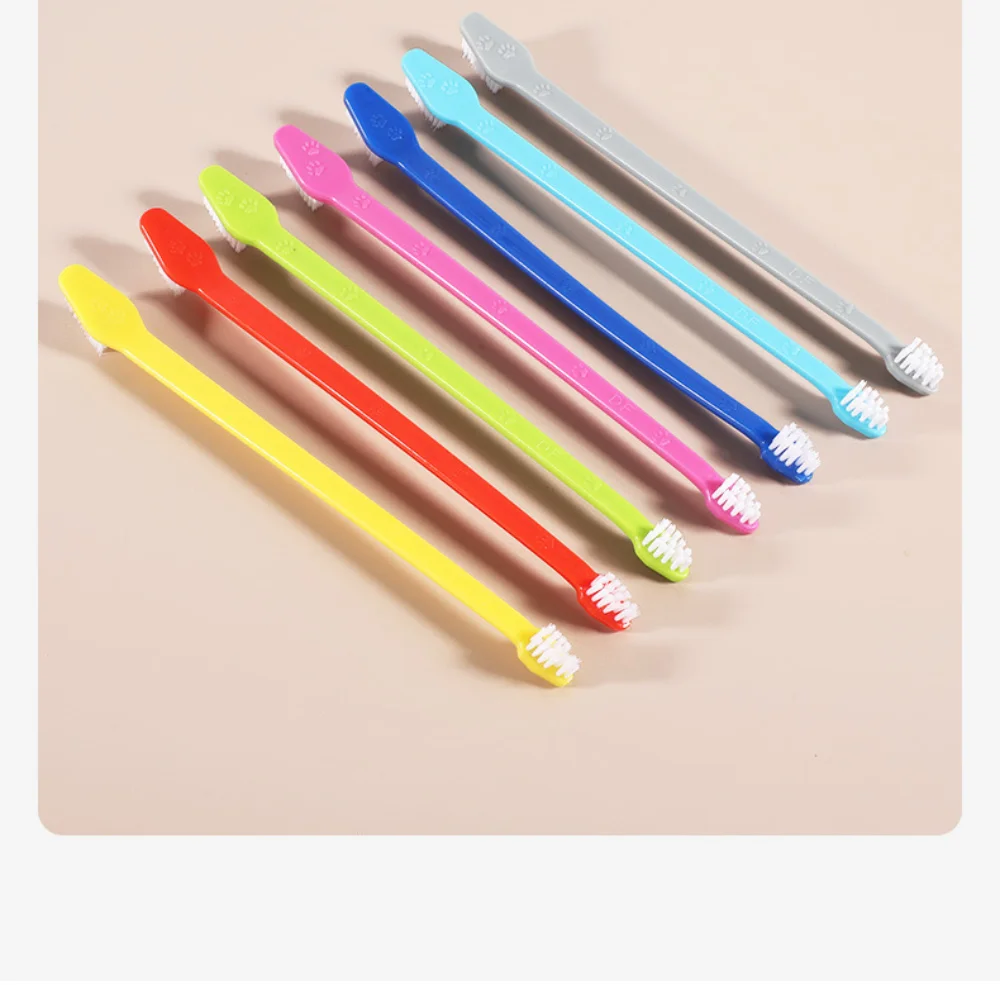 Cepillo de dientes portátil de - Group Head Brush reseña y precio