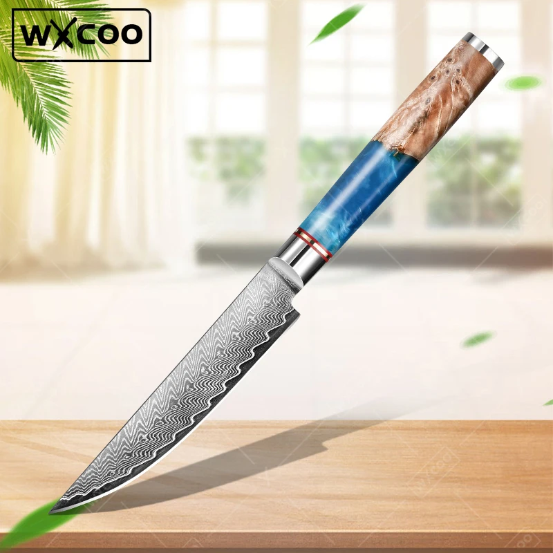 

WXCOO Stainless Steel Kitchen Knives Set Damascus Steel Chef Knife Sharp Meat Cutter Tool Bread Slicer Multipurpose Pocket Knife