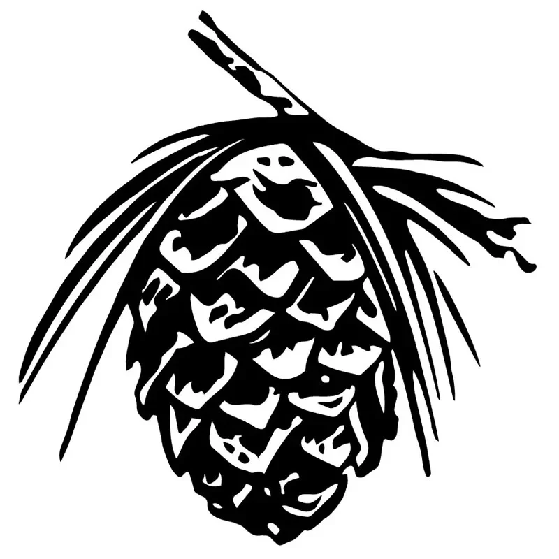 

Car Stickers Pine Cone Conifer Plant Creative PVC Car Decoration Accessories Decals Waterproof Sunscreen Black/white,18cm*17cm