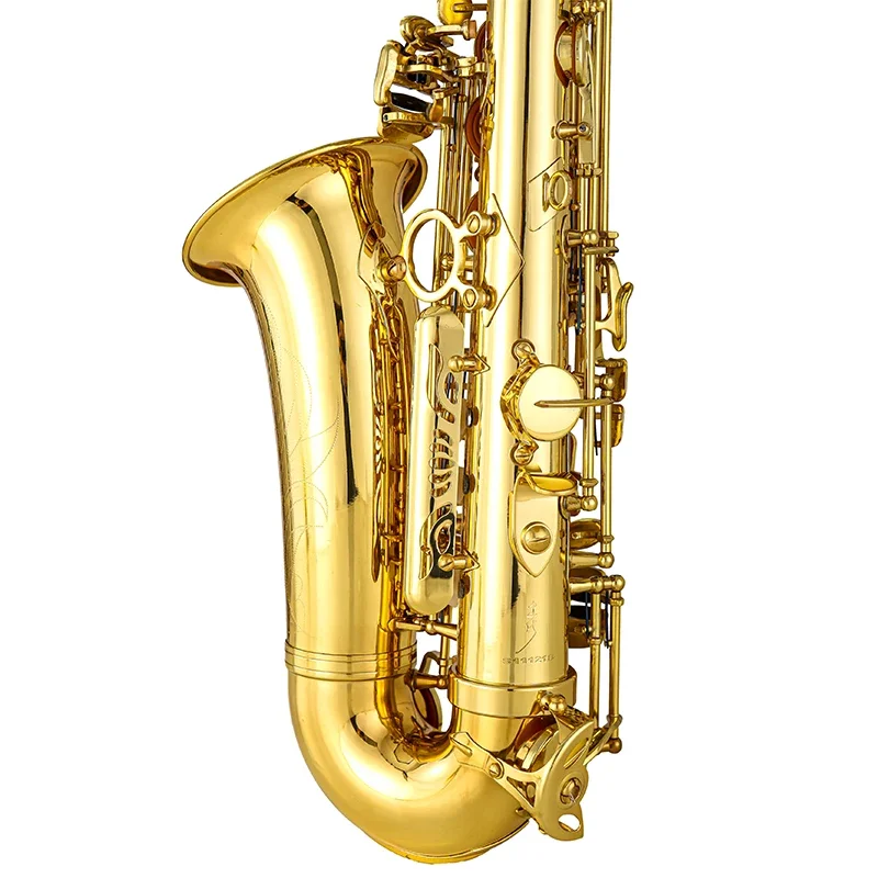 Alto Saxophone AS-85 Daily Practice With Gold Lacquer Brass Body Tone EB