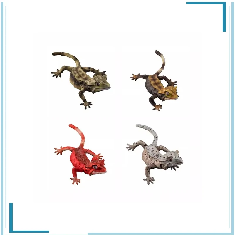 

BANDAI Biology Illustrated Guide Gekko Modelling Doll Gashapon Correlophus Ciliatus Childhood Memories Kawaii Figure Model Toys