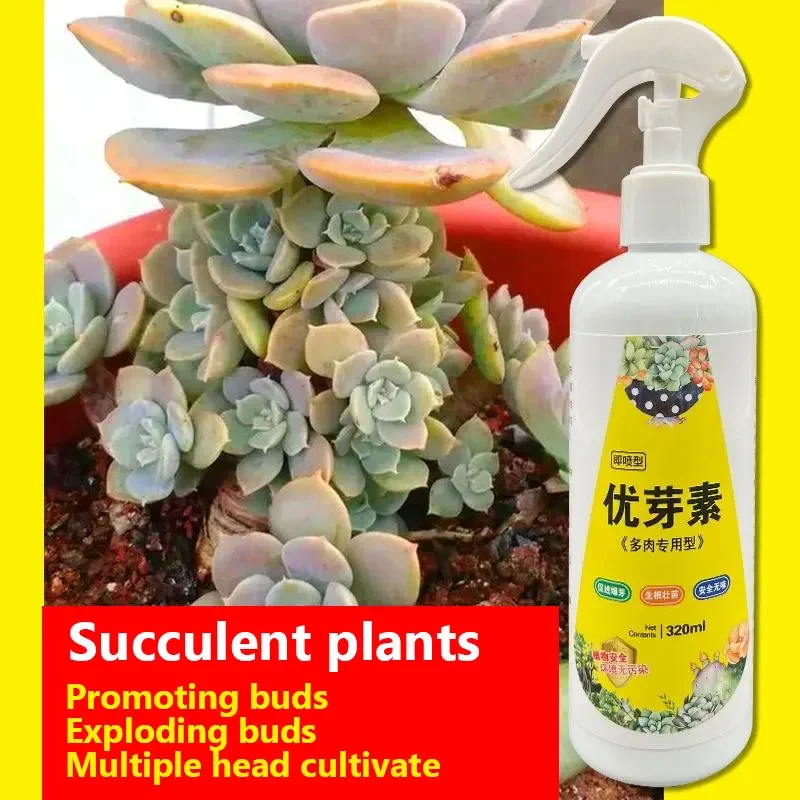 Succulent Plant Eugenin Promotes Budding, Dwarf Fat, Prevents Leggy Organic Granules 320ml