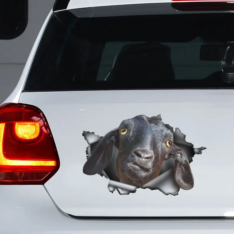 Black Goat decal, Black Goat magnet, Black Goat car sticker,car decal, farm decal