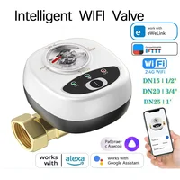 Aplicación eWelink, válvula inteligente WiFi, apagado de Gas y agua, válvula de bola automatizada DN15/DN20/DN25, Control inalámbrico para Alexa, Google Alice