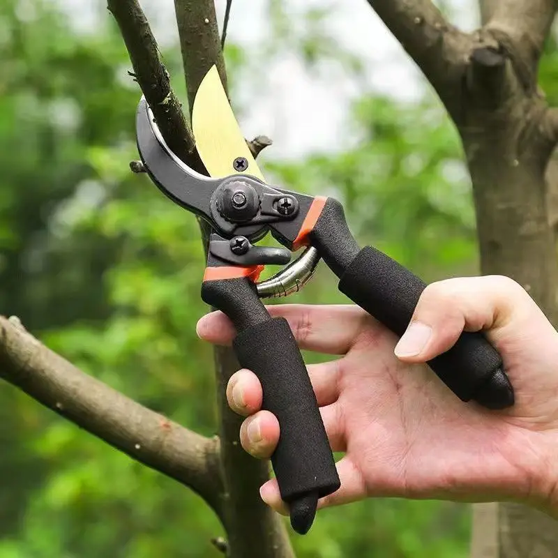 Plant Trim Horticulture Pruner Cut Secateur Shrub Garden Scissor Tool Branch Shear Orchard Pruning Shears Folding Saw Protable