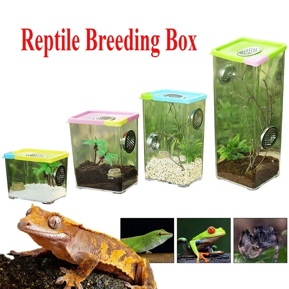 

Reptile Breeding Box Clear Acrylic Reptile Feeding Box Insect Box Mantis Breeding Insect Reptile Cage Terrarium Terrarium