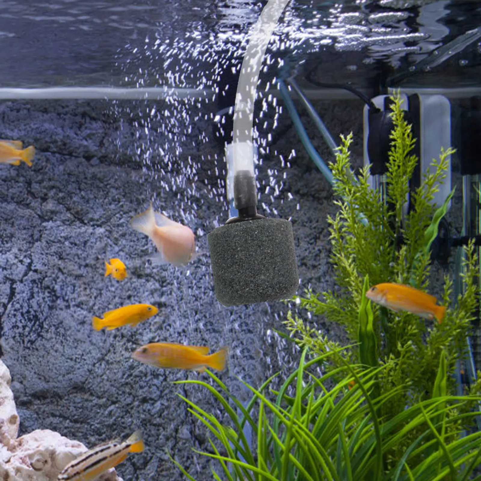 Small Aquarium Air Pump for Fish Tank – Quiet Oxygen Pump with Fine Craftsmanship