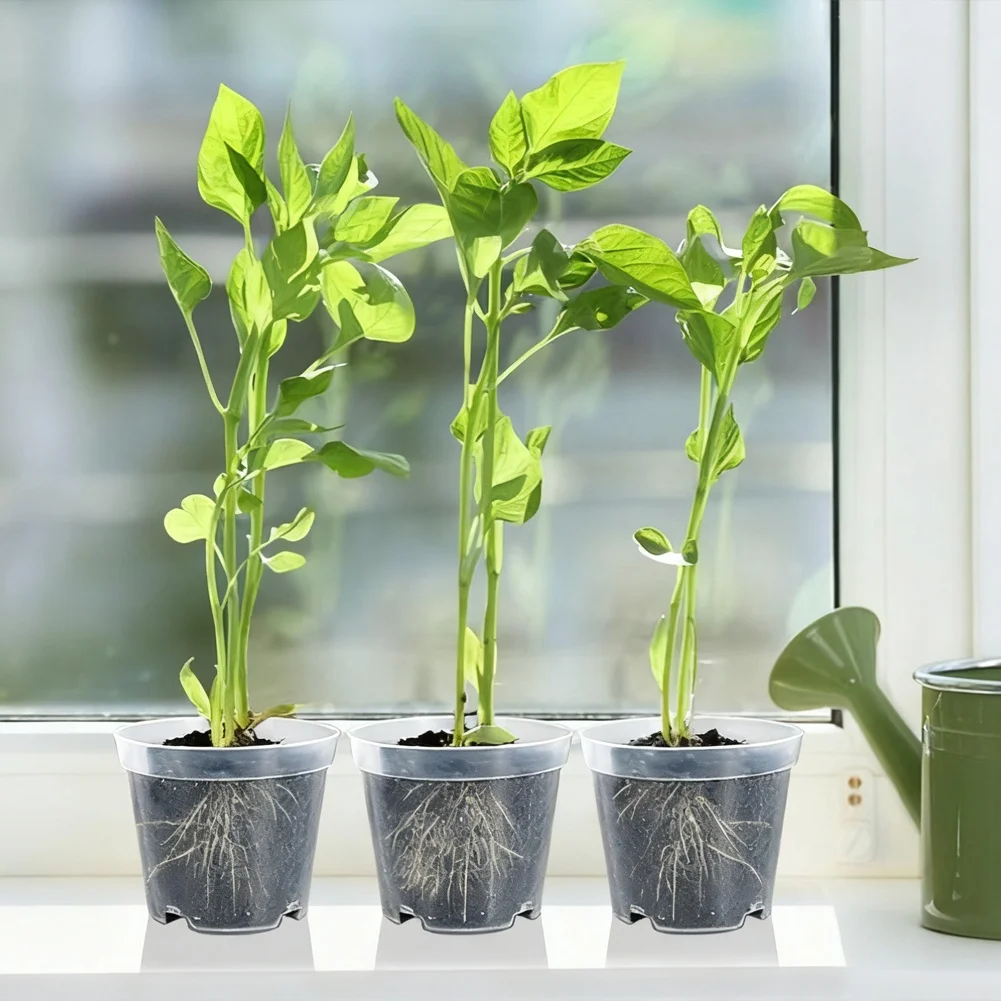 

30 Pieces Clear Plastic Flower Pots with Drainage Holes and 50 Plant Labels for Plant Labeling and Root Health