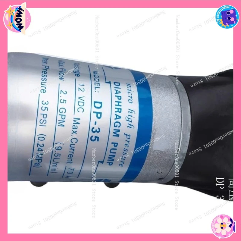 24V 12V DC Diaphragm Pump DP-35 High Pressure Self-Priming Spray Pump for Cleaning Vehicles Water Transfer