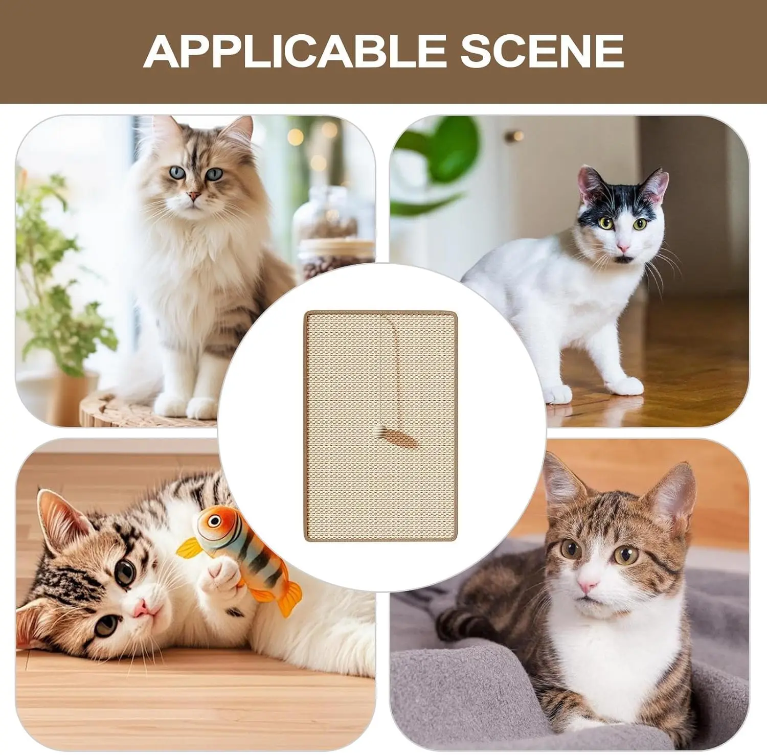 Thumbnail 2 - #10 Budget Cat Furniture for Smart Shoppers