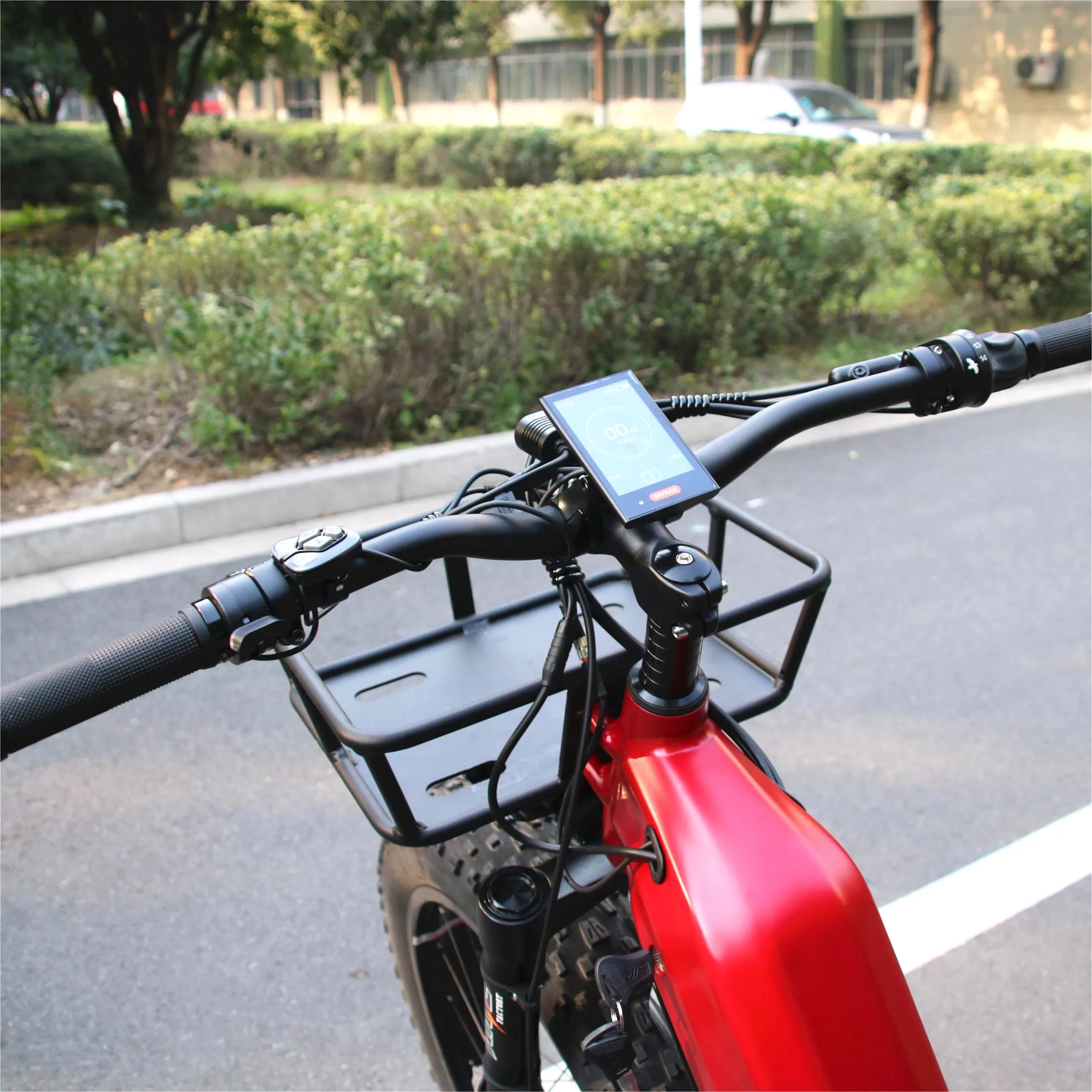 Step Thru Frame Bici elettrica 48V 1000W Bafang Mid Motor Ebike ROHLOFF 14 velocità IGH Hub Bicicletta elettrica con trasmissione a cinghia