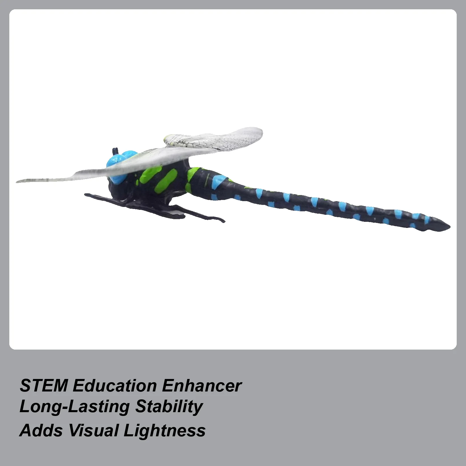 Fake Dragonfly 3D Fake Dragon Fly Toy For Kids Educational Animal Figurines Outdoor Decor For Demonstration Learning