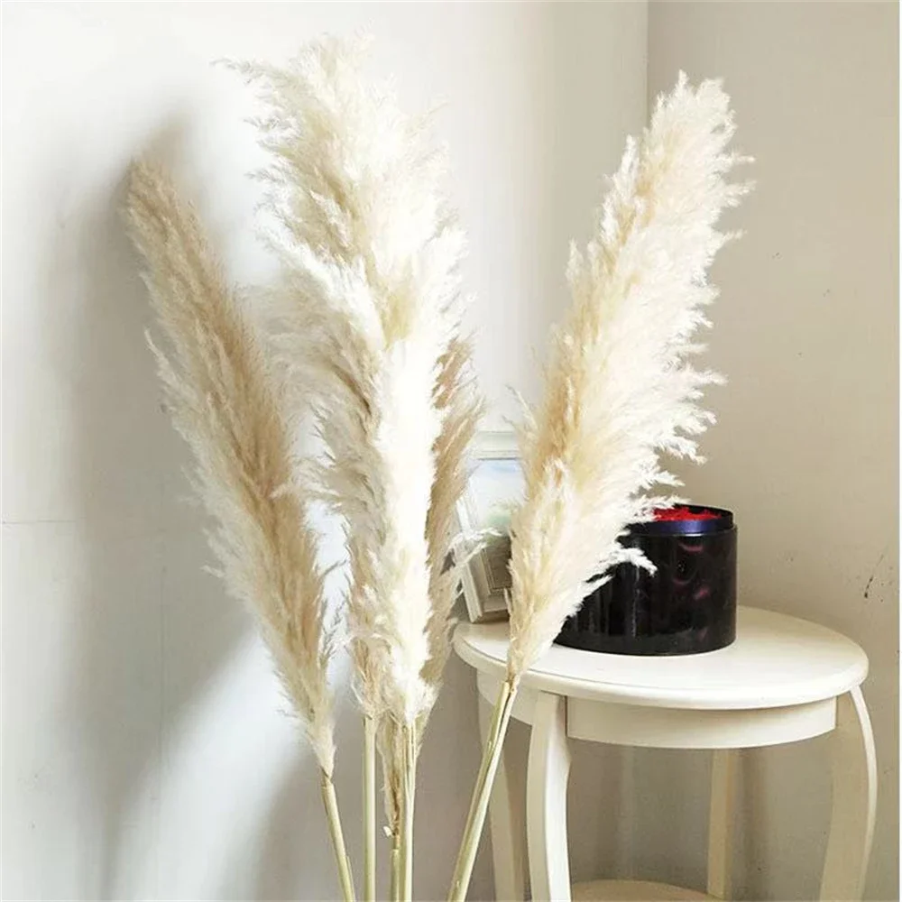 110-120cm Large Pampas Grass,White,Colorful Natural Dried Flower Bouquet,Fluffy for Boho Vintage Style,Home Wedding Flower Decor