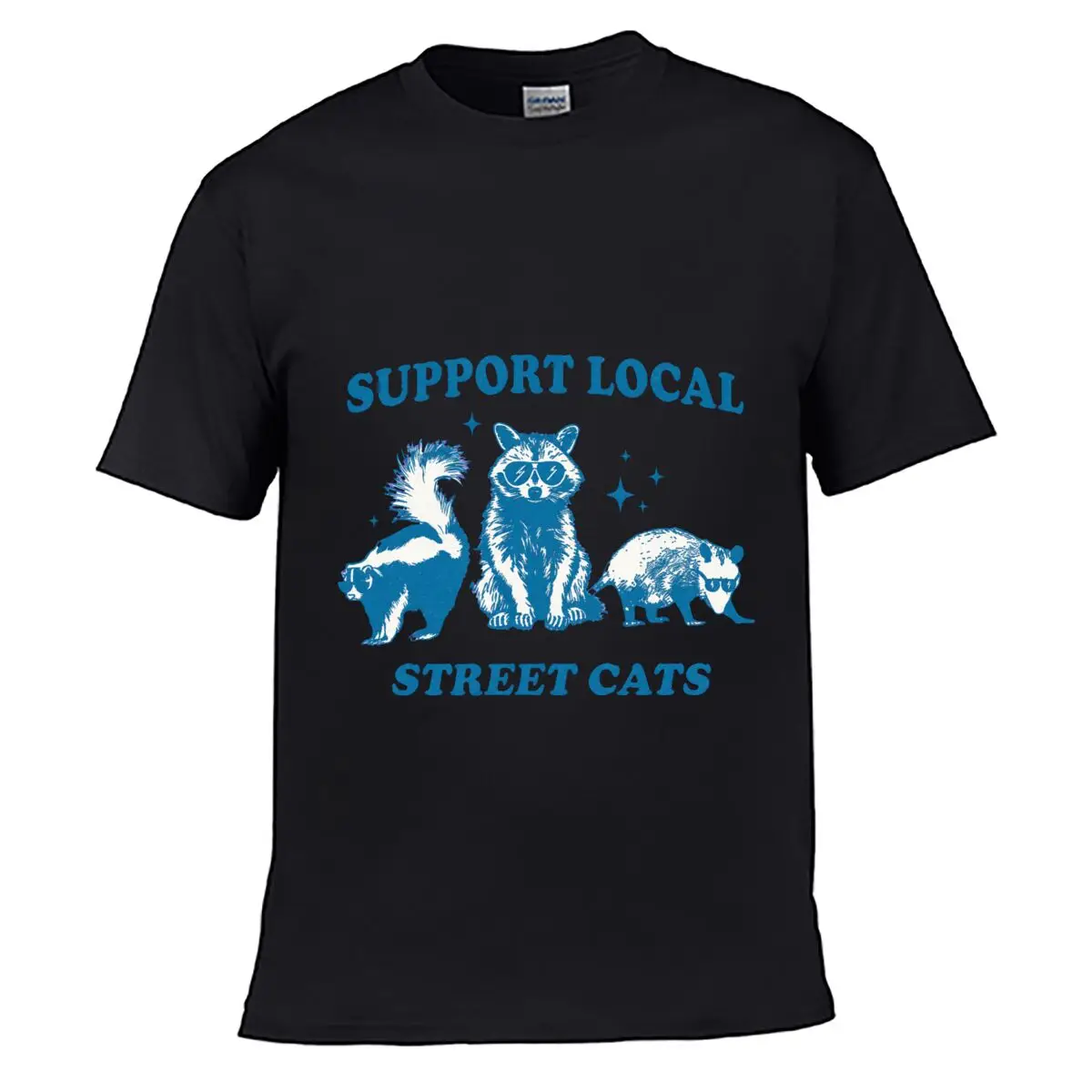 Support Local Street Cats Raccoon Skunk Opossum Graphic Loose Vintage Distressed Washed Casual Tee