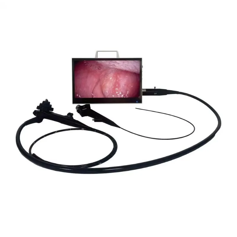 Portable Veterinary Endoscope 1080P high definition integrated video endoscope system with 15.6 touch screen for animal clinics