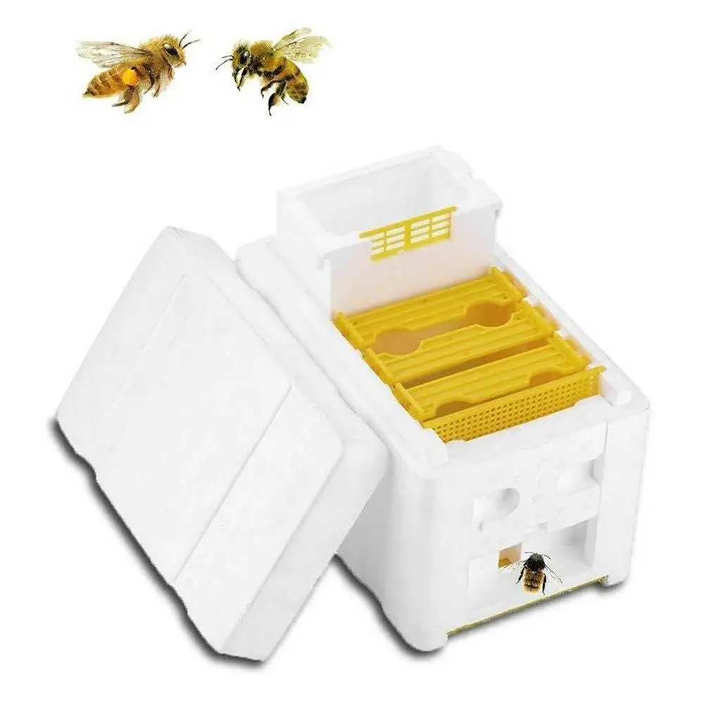 1PCS Beehive Beekeeping Box Foam Bee Breeding Box Queen King Bee Hives Boxes Pollination Bee House Beekeeping Equipment