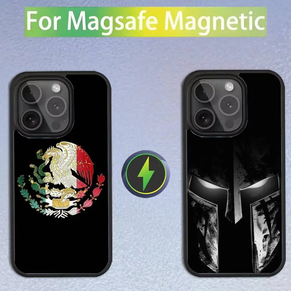 

Color Coat Of Arms Phone Case For iPhone 17,16,15,14,13,12,11,Pro,Max,Plus,Mini,SE Magsafe Magnetic Wireless Charging