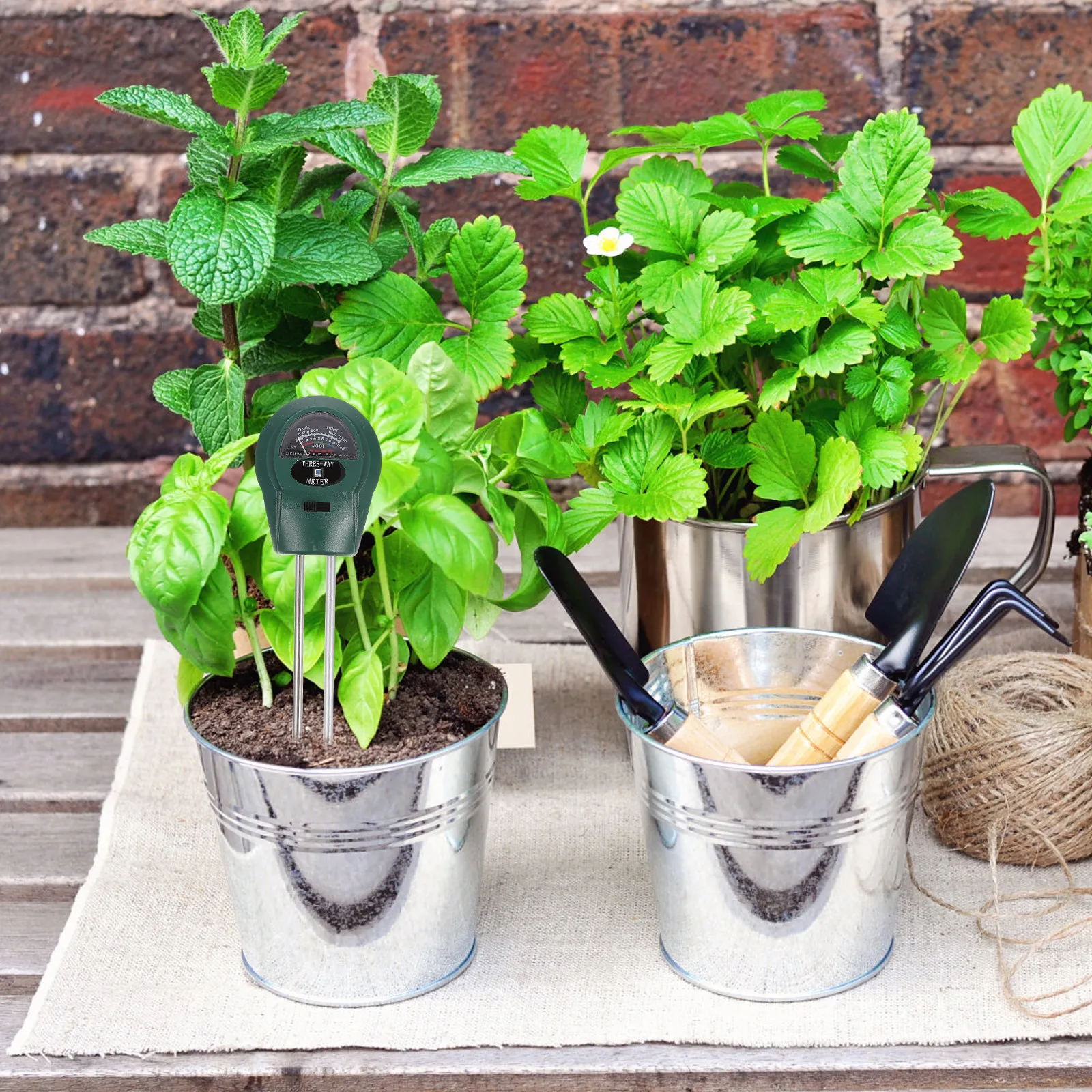 Soil 3 In 1 Soil Te…