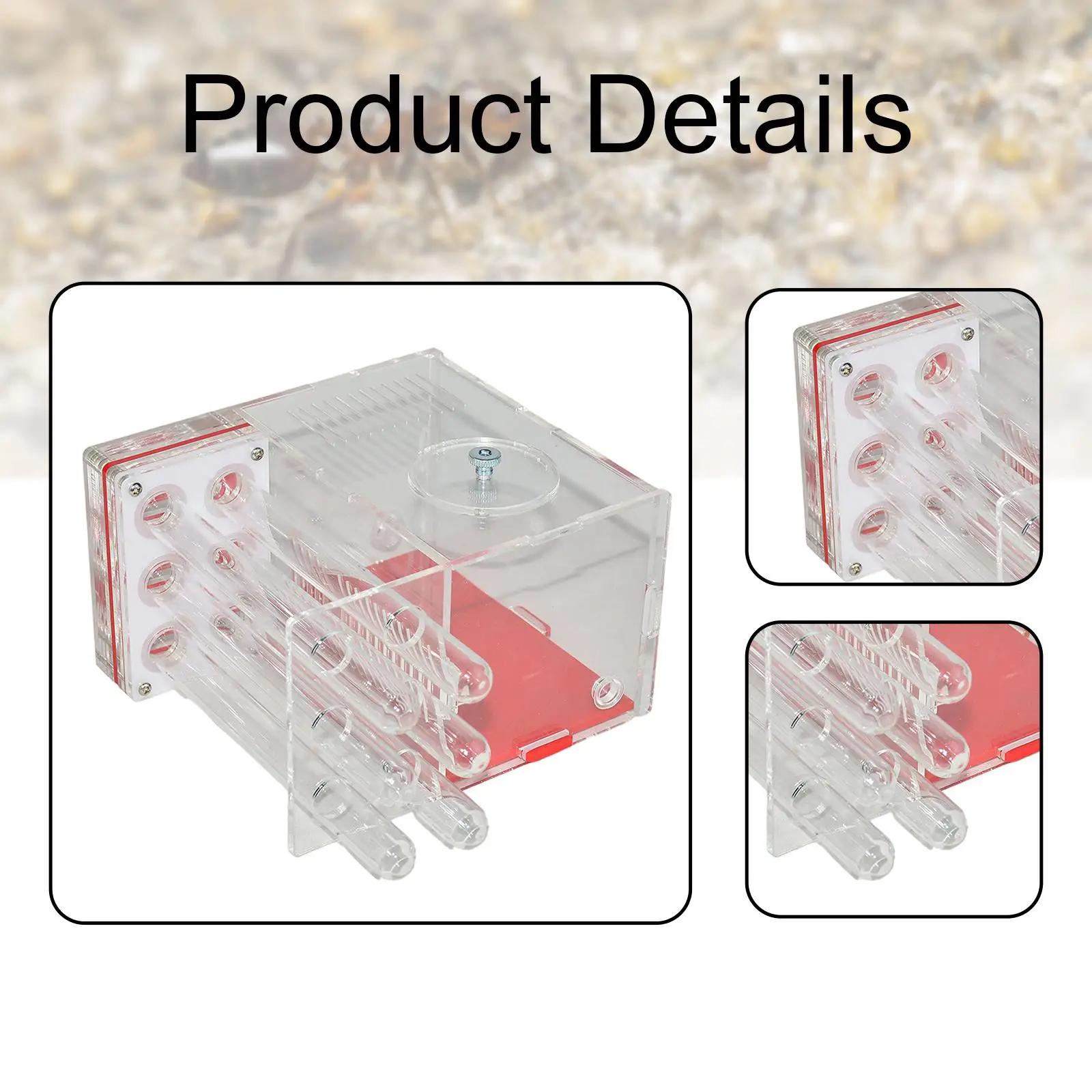 ورشة عمل عش الإسكان ANT DIY صندوق عرض شفاف مدمج للمزرعة ANT Castle Habitat لغرفة نوم عشاق المنزل في يوم الأطفال