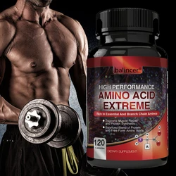 High Performance Amino Acids - Rich in Amino Acids and BCAAs - Muscle Replenishment, Repair and Growth, Workout Supplement