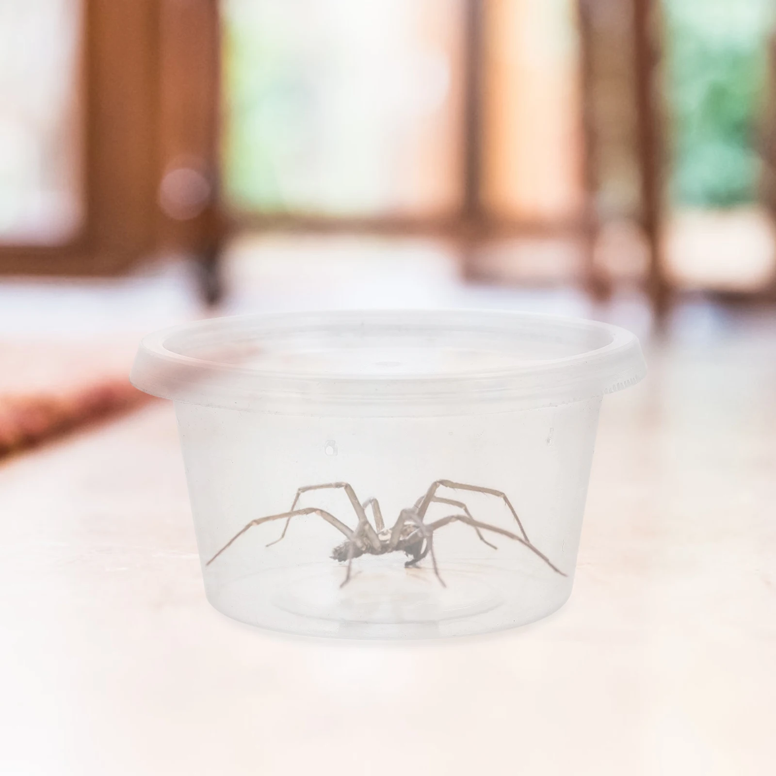 

10Pcs Reptile Feeding Box Transparent Breeding Case for Spiders Geckos Snakes Large Supplies Aquarium
