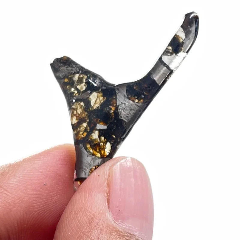 Seymchan Pallasite Meteorite Specimen Natural Olivine Meteorite Irregular Slice Cut Polished Space Rock Collection