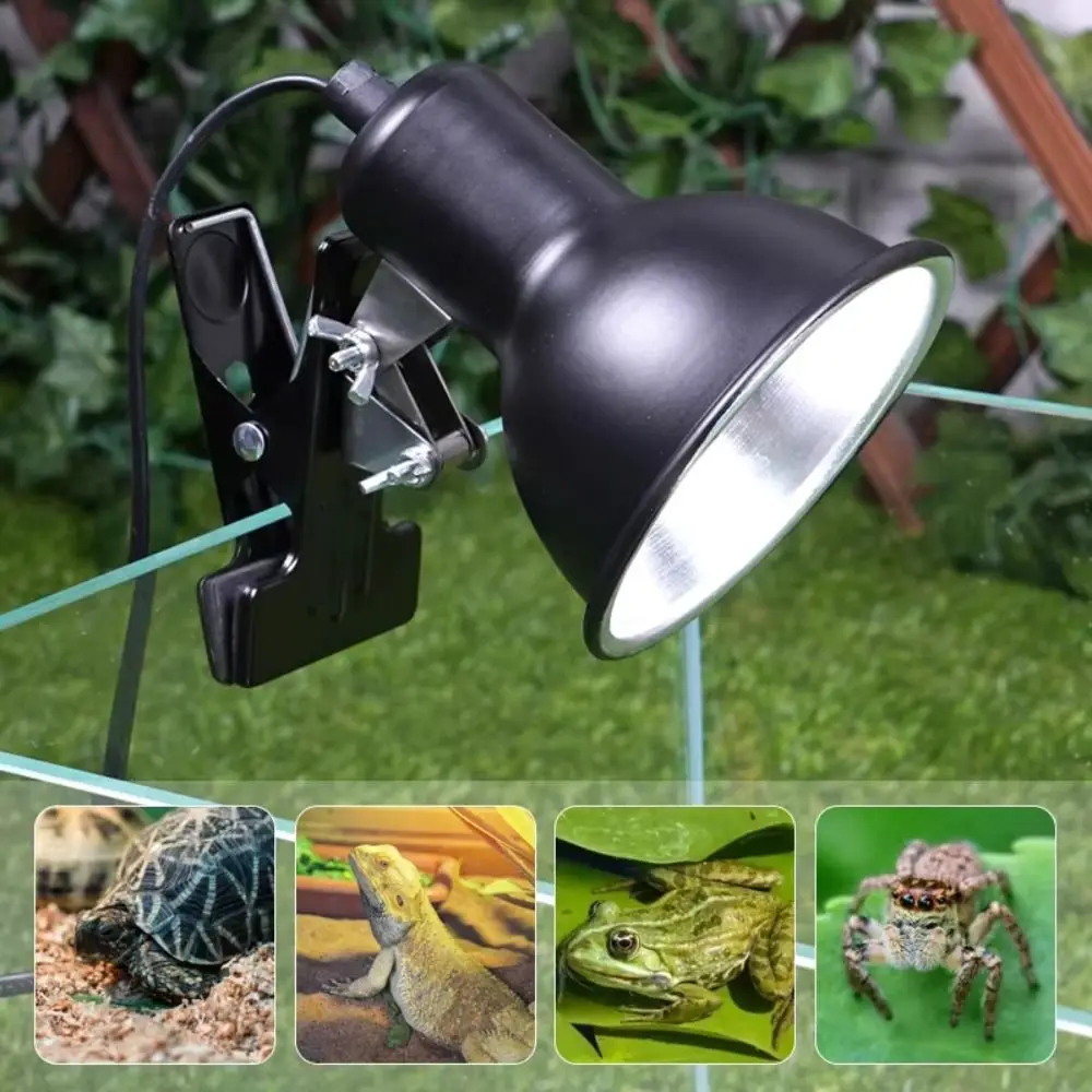 

Clip-on Lamp Holder Turtle Basking Lamp Thermostat Vivarium Reptile Heat Lamp Reptiles Basking 75W Pet Heat Bulb