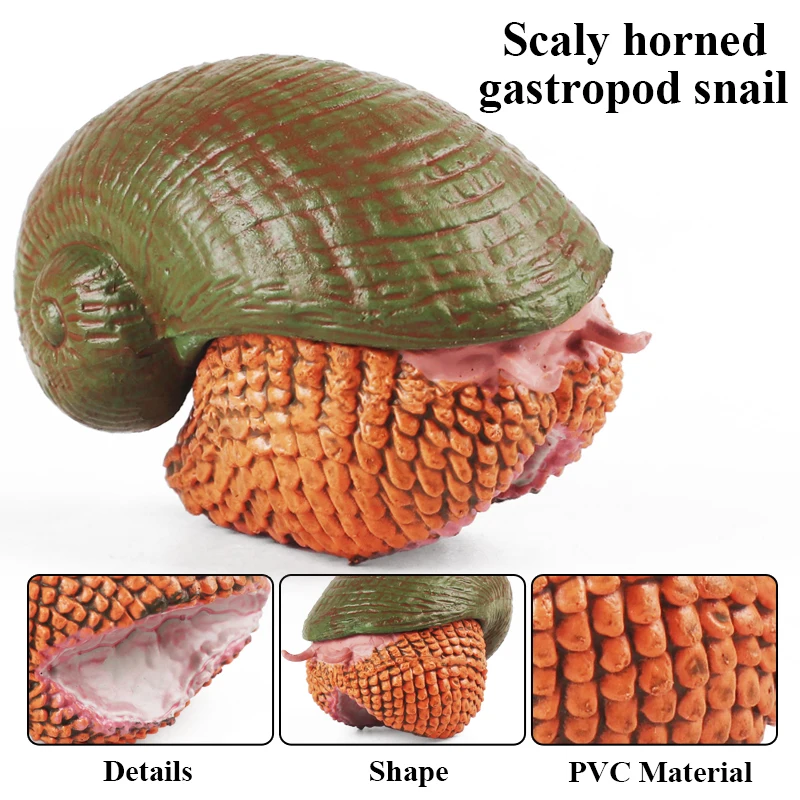 Oenux Wildes Insekt Tiere Schnecken Wachstumszyklus Modell Gartendekoration Figuren PVC Miniatur Niedliche Bildung Kinderspielzeug – Detail 6