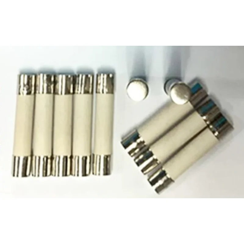 10PCS 6 * 30mm Explosion-proof Ceramic Fuse/tube With Lead Wire Fast/slow Break Type 250V/10A T10A