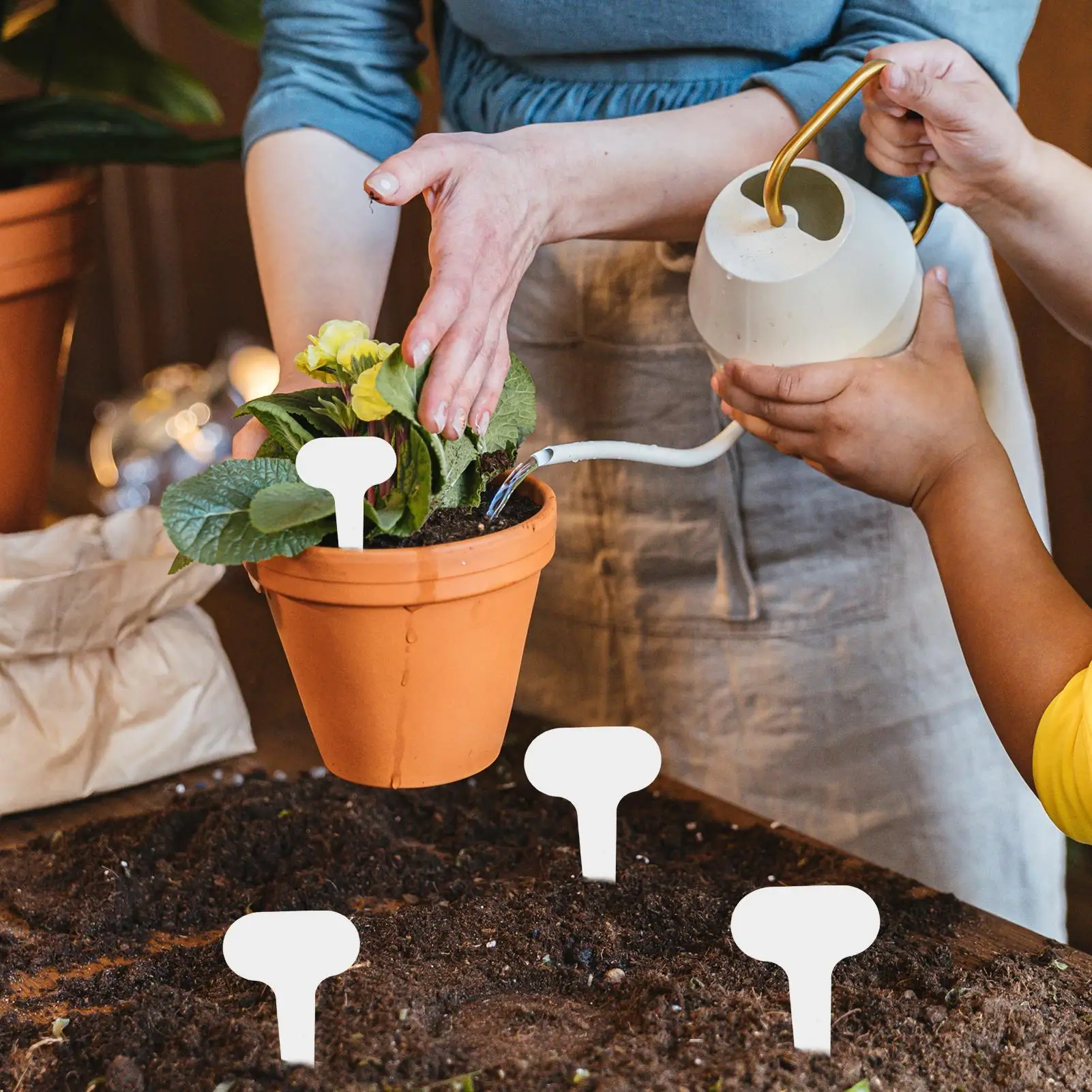 100 Stück Garten-Pflanzenetiketten PVC Topfpflanzen-Etiketten Gartenschilder Gemüseetiketten für Blumenbeete Blumentöpfe Sträucher Gärtner