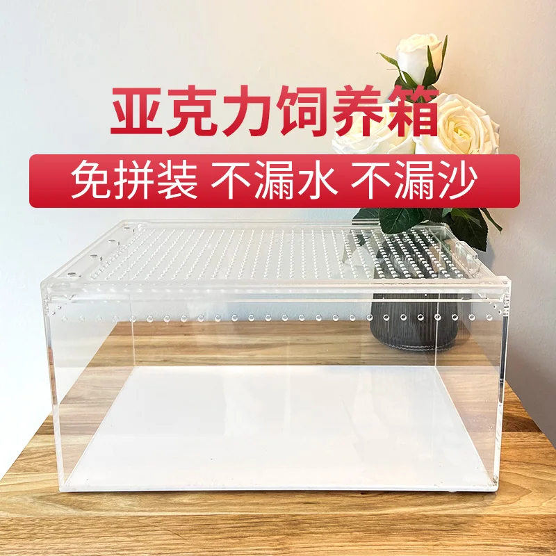 Hermit crab acrylic feeding box transparent feeding box horned frog snail lizard