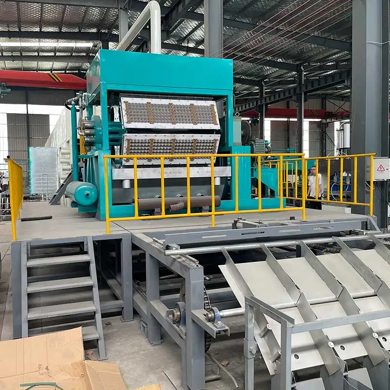 Automatic Egg Tray Making Machine with Dryer Paper Pulp Recycling Plant for Carton Box Tray Production