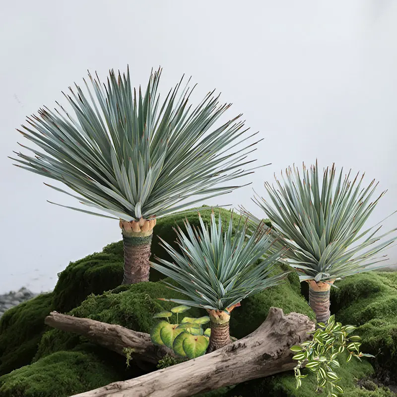 Simulated Agave Plant Pot Plant Artificial Plant Home Decoration Tropical Desert Landscaping Decorative Piece Bonsai