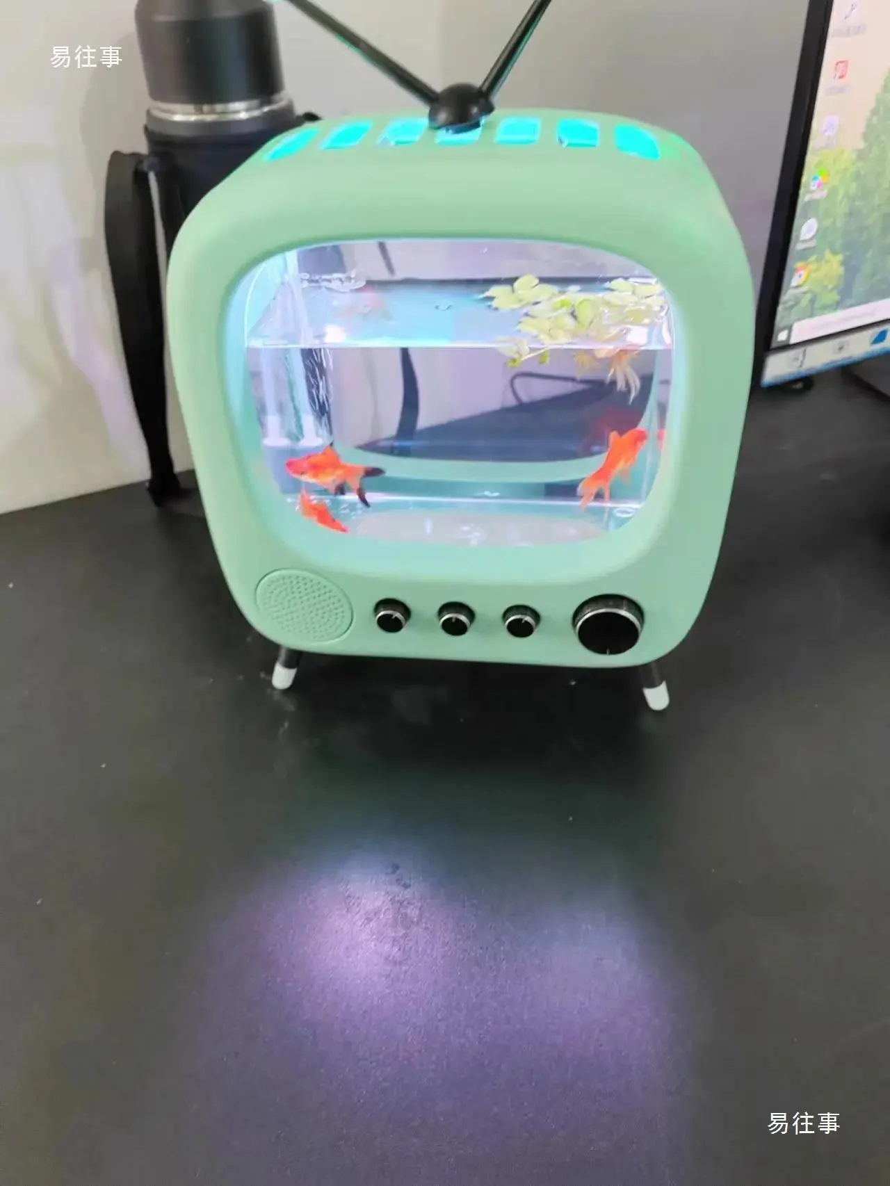 Thumbnail 4 - #6 Latest Aquarium Fish Nets Offers