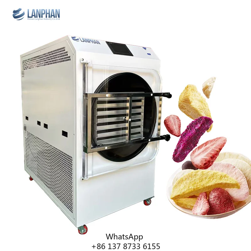 Commercial Home 55-60KG/Batch Food Processing Freeze Dryer Vacuum Sublimation Dryer Machine SUS304 Stainless Steel Electric