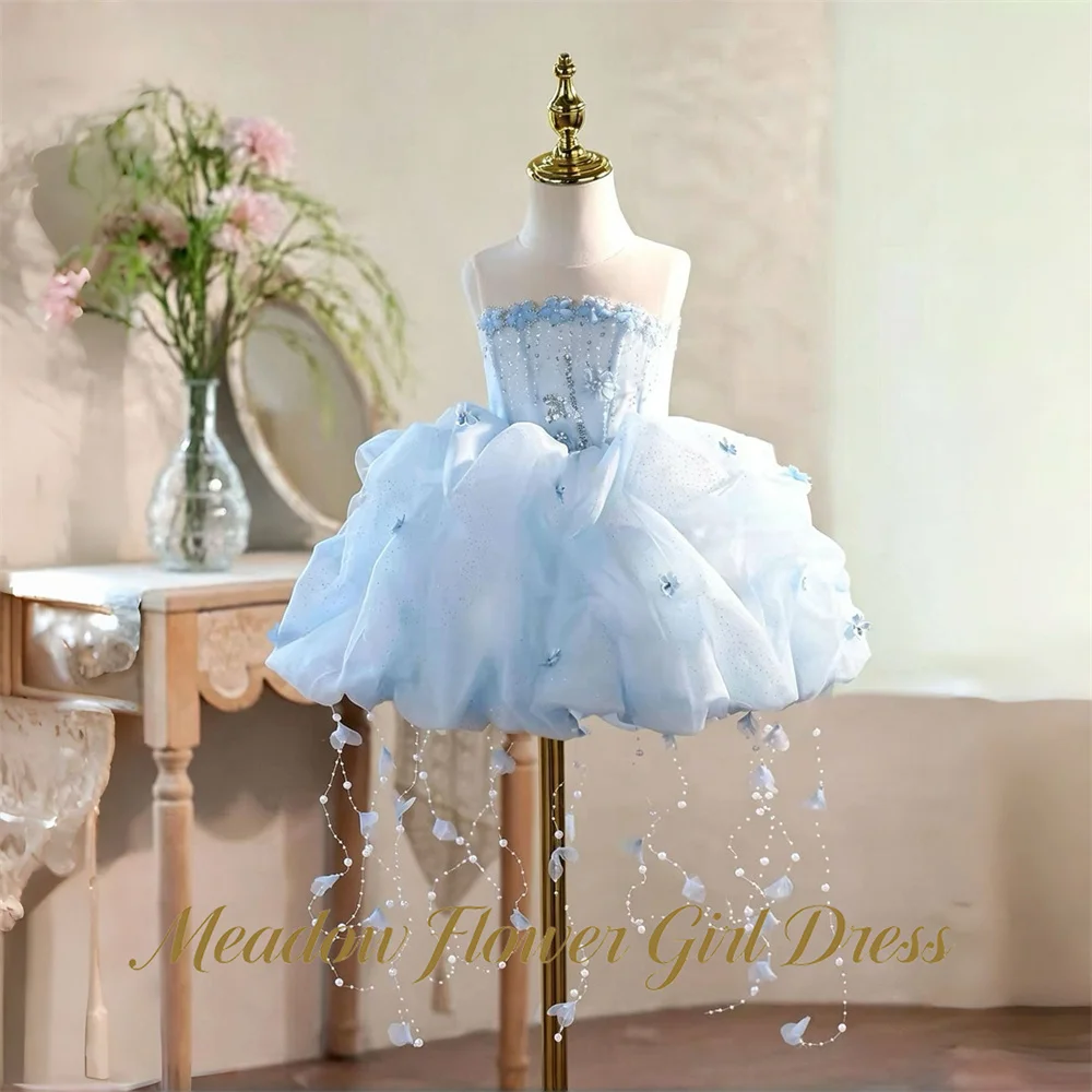 Meadow Light Sky blue Flower Girl Dress 3D Flower Baby Kids Birthday Dress Pearl Flower Pageant Dress for Girl Customized