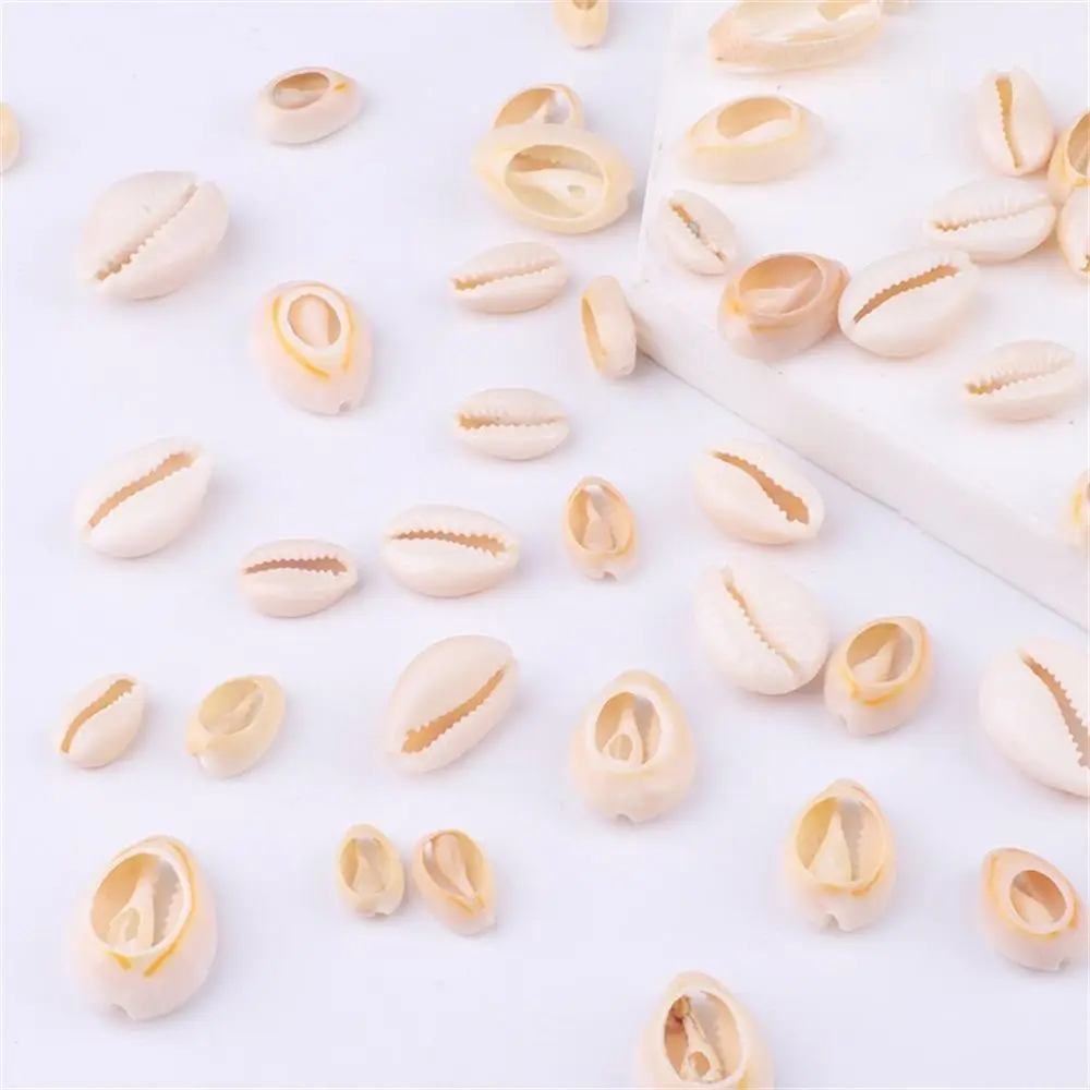 20PCS/Pack DIY Craft Natural Beach Loose Beads Necklace Accessories Cowrie Seashells Shell Bracelet Conch