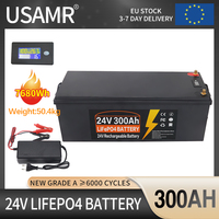 12V 24V 600Ah 300Ah 200Ah 100AH Built-in BMS Lithium Iron Phosphate LiFePO4 Battery 6000+ Cycles For RV Campers Golf Cart Solar