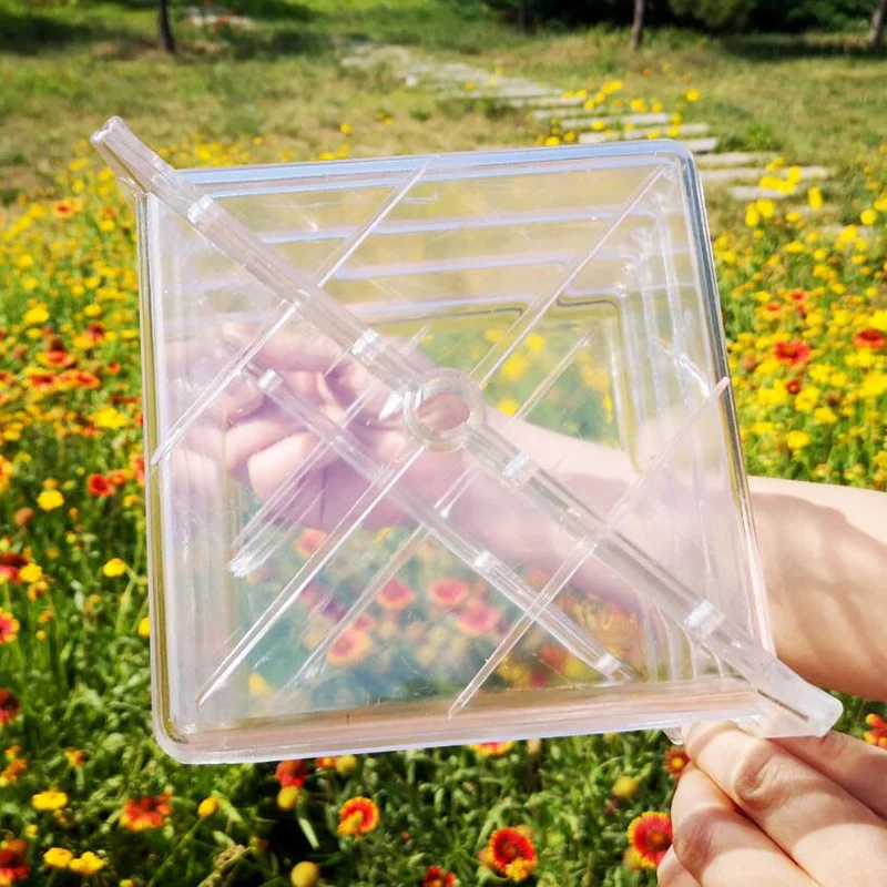 Square Heart Watermelon Mold Garden Fruit Growth Forming Shaping Mould Tool