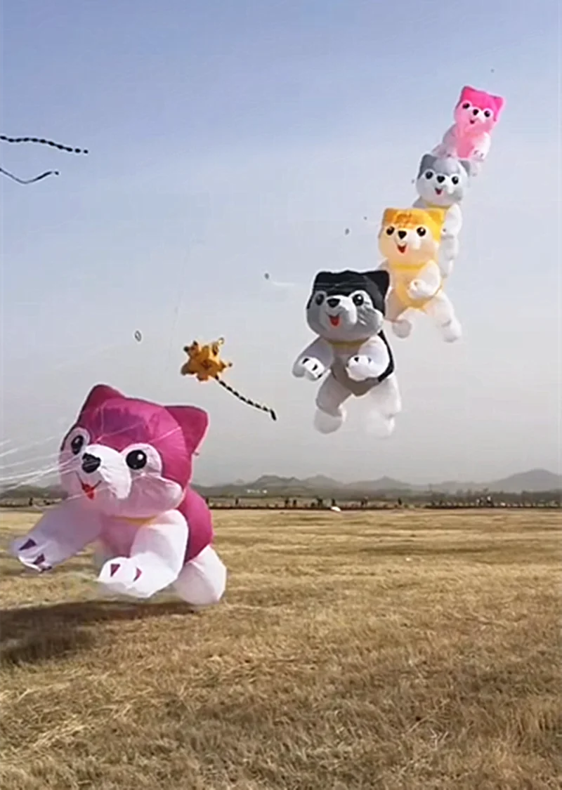 Hundedrachen, riesige Drachen, fliegende aufblasbare Spielzeuge, Anhänger, Elektroschocker, Drachen, Neuheit, Spiele im Freien, Kinderspaß, Cerf Volant Koi