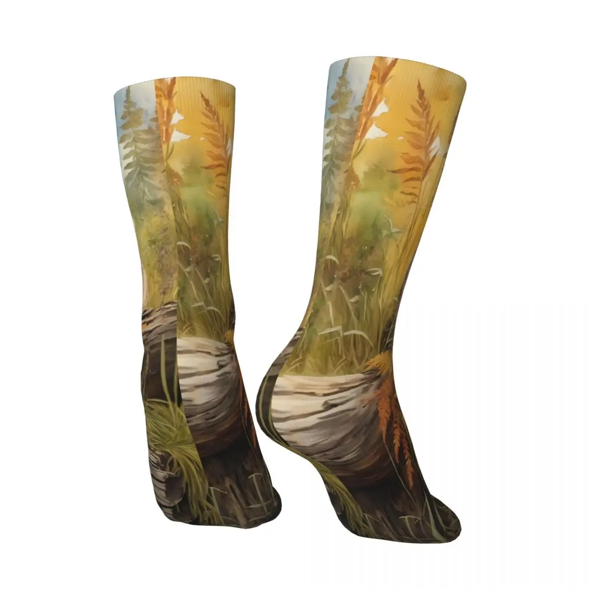 Raccoon Sock Printed Man Polyester