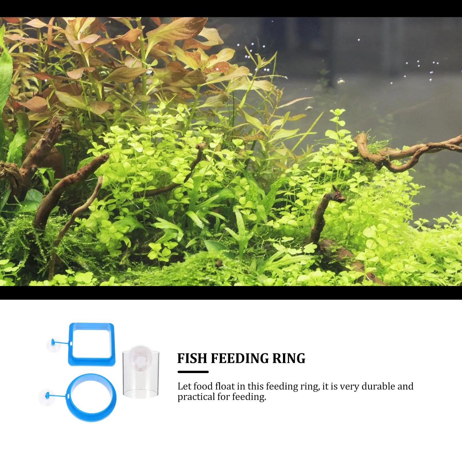 

3 Pcs Feeders Fish Feeding Circle Tank Food Ring Acrylic Floating Circles Aquarium