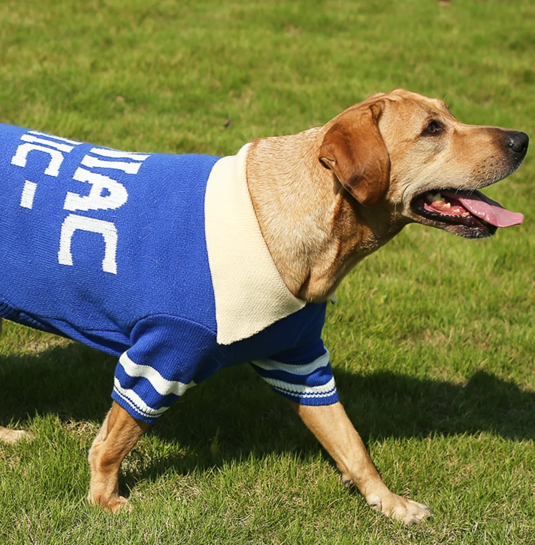 A Large Canine Sweater, Big Dog, Medium Dog