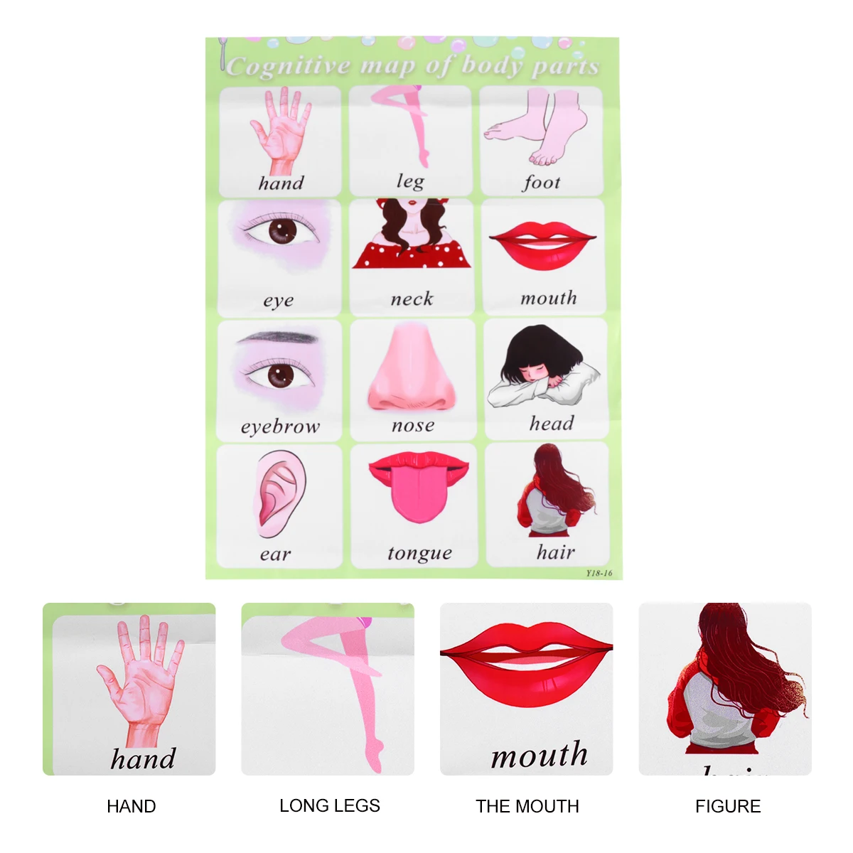 

Baby Enlightenment English Hanging Chart Toys for Babies Teaching Tool Learning