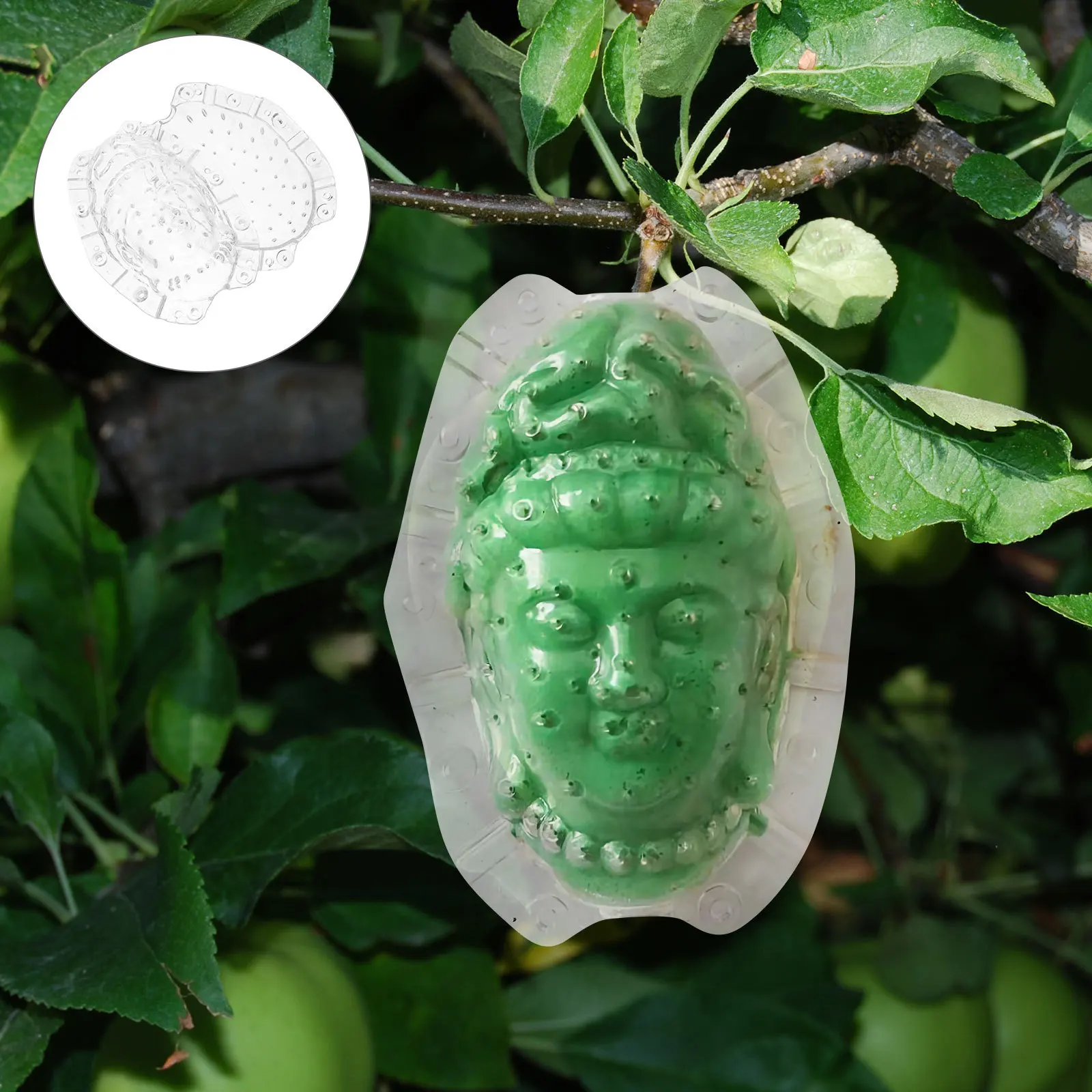 

Clear Acrylic Reusable Ginseng Fruit Mold Small Growth Shaper Creative Melon Molds for Garden Yard DIY Shaping Growing Fruits