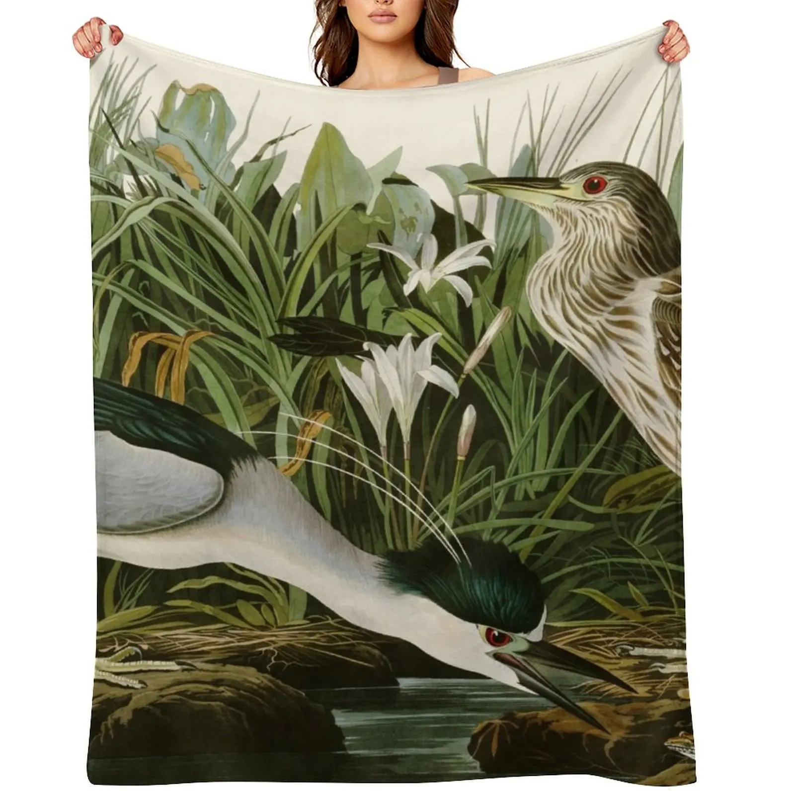 Night Heron - John James Audubon Birds of America Throw Blanket Luxury Designer Beach Shaggy Soft Big Blankets