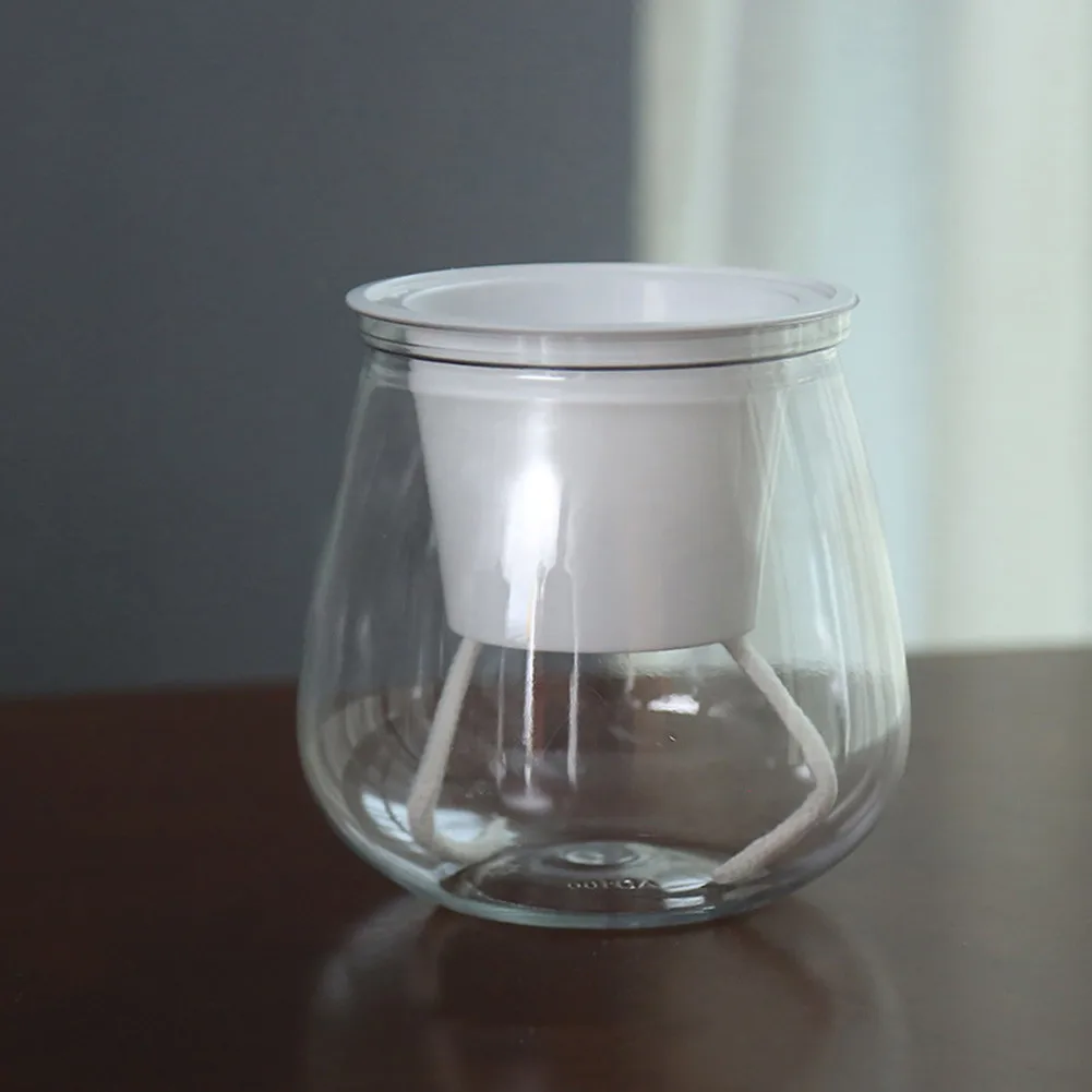 Transparent Plant Container with Water Storage Feature for Home Gardening Balcony Vegetable Garden and Nurseries