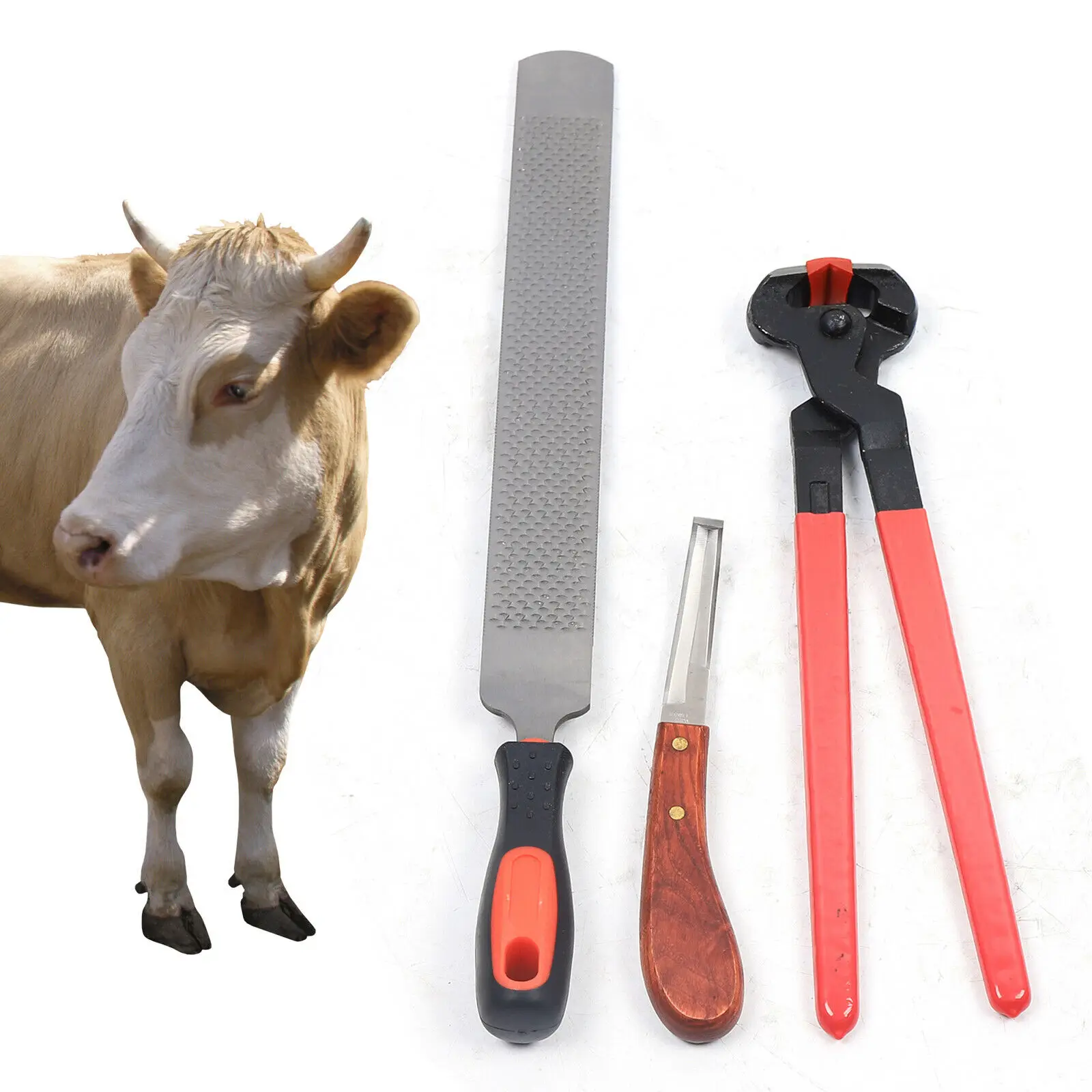 

3 in 1 Horse Hoof Trimming Farrier Tool Kit Horseshoe File Rasp Cutter Knife Horse Hoof Shear Metal Steel Trimming Nipper